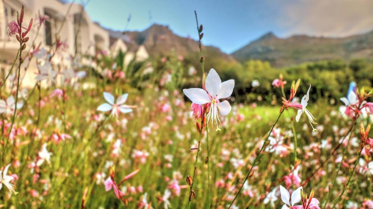 ホテル Thelab Cape Town ハウト・ベイ エクステリア 写真